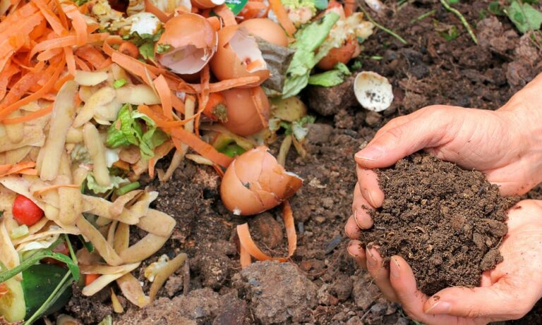 What is Composting and How To Start at Home?